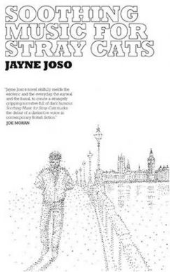 Soothing Music for Stray Cats by Jayne Joso