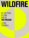 SIGNED Wildfire : My Ten Years Getting High in The Prodigy by Leeroy Thornhill