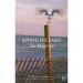 The Maytrees by Annie Dillard