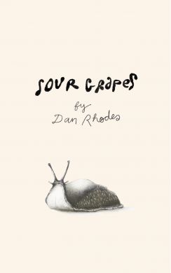 Sour Grapes by Dan Rhodes.